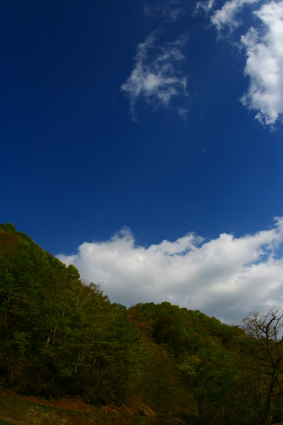 c0030874_859572.jpg
