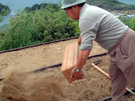 緑化作業_b0049318_144310.gif