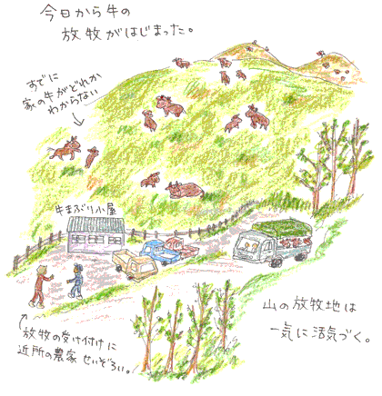 b0015222_222948100.gif
