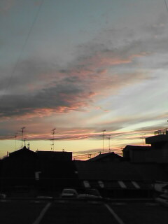 c0047024_1453362.jpg