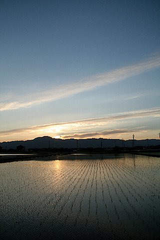 夕焼け色に染まって_a0030149_16501475.jpg