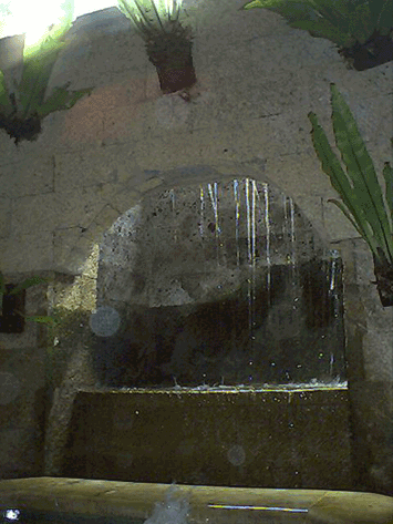 d0038319_85134.gif
