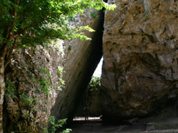 c0024729_20333354.jpg