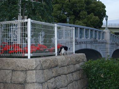c0024552_21167.jpg