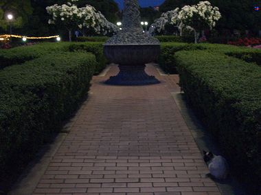 c0024552_26954.jpg