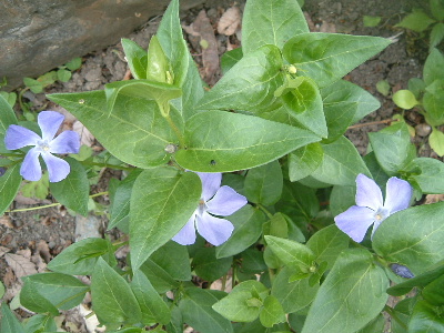 b0067569_18591260.jpg