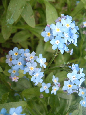 b0067569_220062.jpg