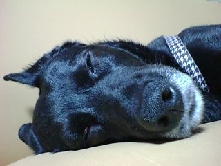 c0065287_01342.jpg