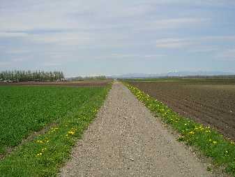 b0051291_21204233.jpg