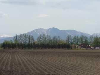 b0051291_21221924.jpg
