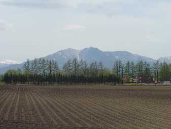 茶毛の育った風景。_b0051291_21221924.jpg