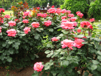 d0014408_11512258.gif