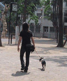 c0036949_20331442.gif
