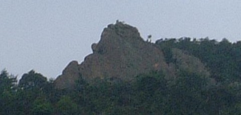 d0051106_0141471.jpg
