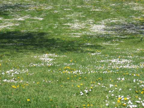 c0055212_14491676.jpg