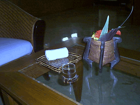 d0038319_1154134.gif