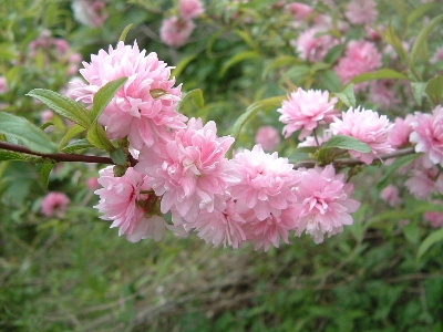 b0067569_1481021.jpg