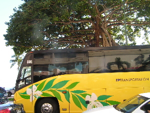d0032693_23481619.jpg