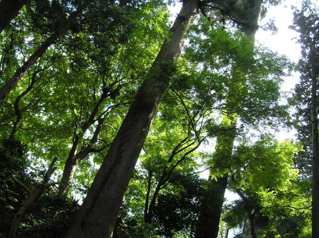 c0034595_01002.jpg