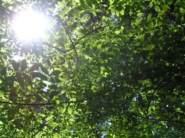 c0034595_07394.jpg