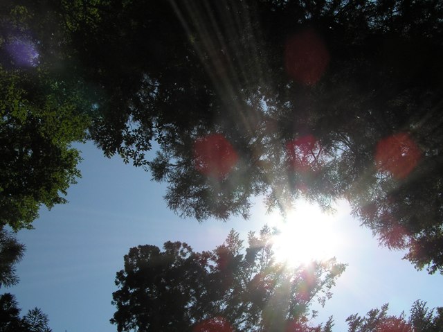 c0034595_09250.jpg