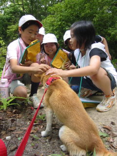 　５月の木立ちの中で_c0006757_2135192.jpg