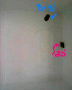 c0032465_0245156.jpg