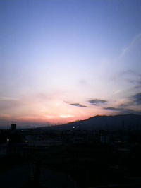 そうそう_b0016474_113184.jpg