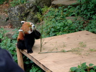 立て、立つんだ、風太！――動物公園狂騒曲_b0036381_12565977.jpg