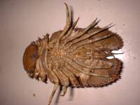 c0027707_16454767.jpg