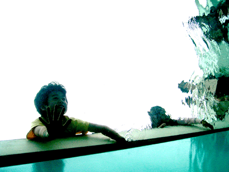 d0002843_4372931.gif