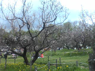 a0004449_22325629.jpg
