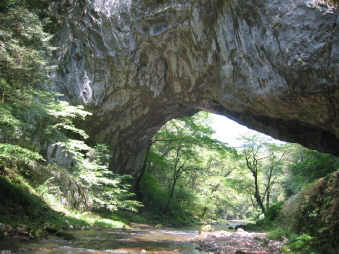 c0073152_11153821.jpg