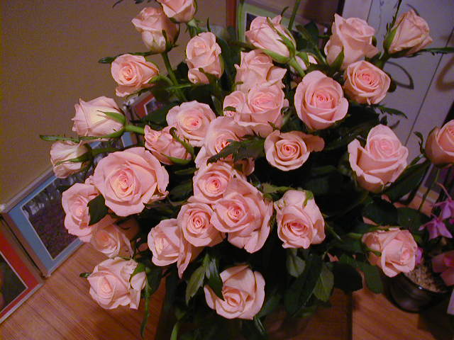 c0011169_64367.jpg