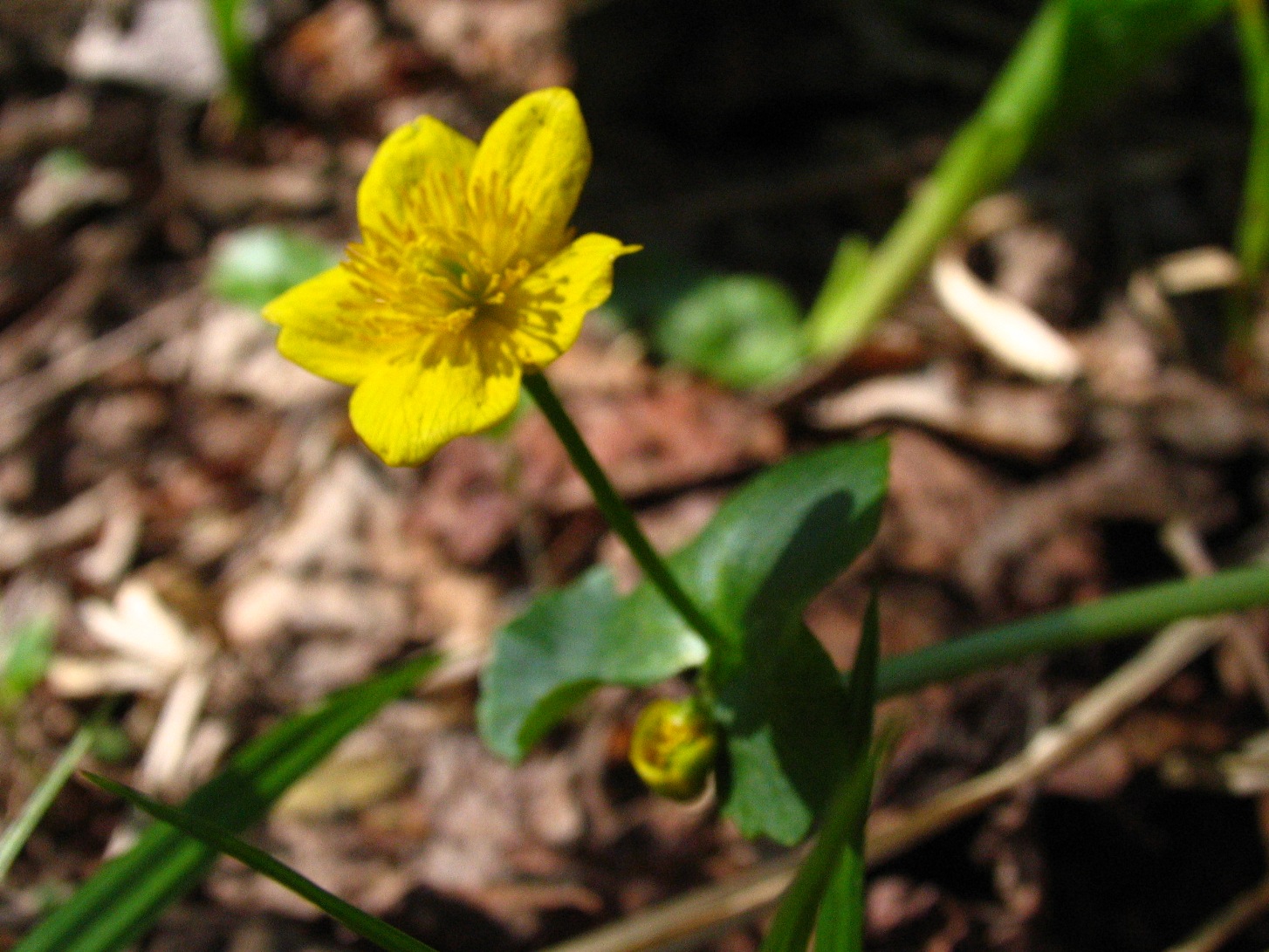 d0033398_454391.jpg