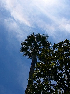 b0009029_23469.jpg