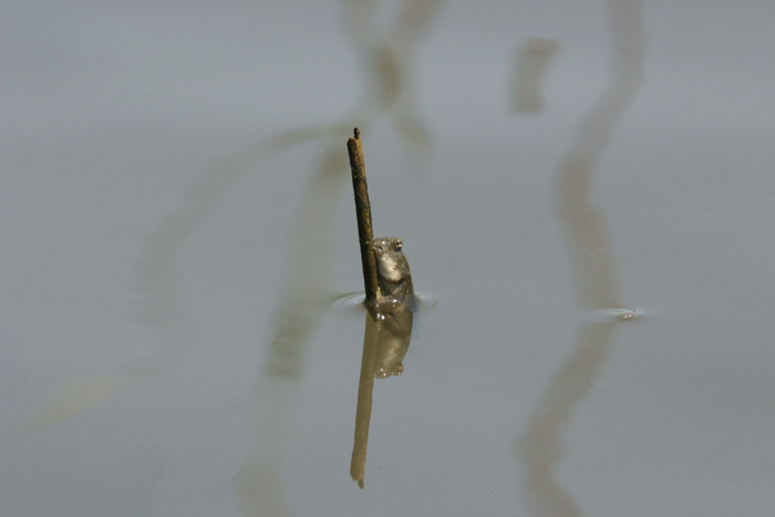 d0041331_22582765.jpg