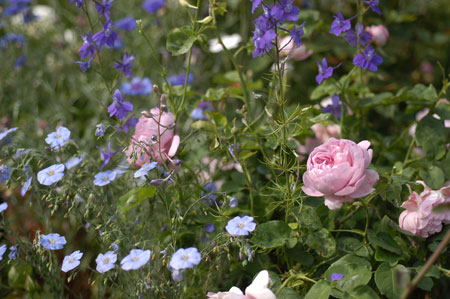 Charles Rennie Mackintosh_b0056932_7382857.jpg