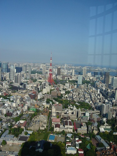 b0055835_13465.jpg