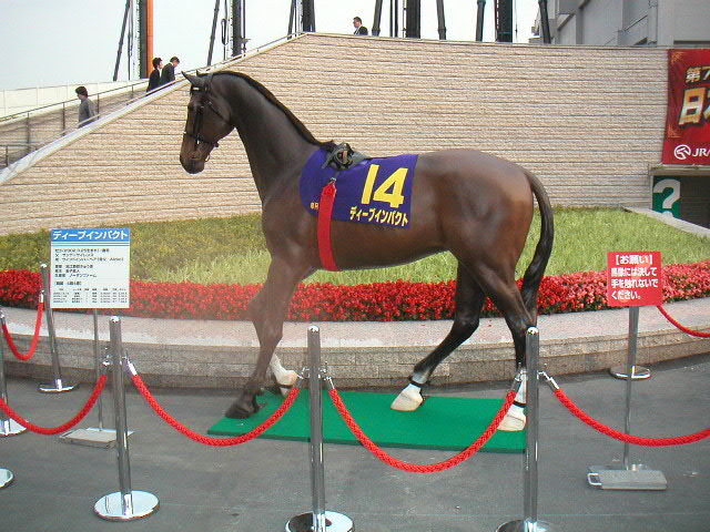 ダービー前日 : 東京競馬場うおっち