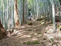 d0048350_22513519.jpg