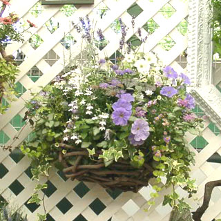 c0047589_18265685.jpg