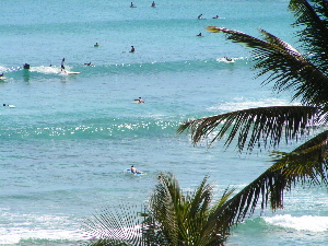 d0032693_21335757.jpg