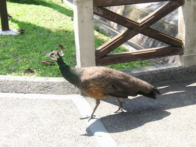 a0002177_23523565.jpg