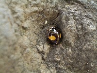 c0045882_23261295.jpg