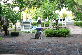 a0036499_1421558.jpg