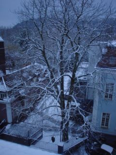c0067418_16363460.jpg