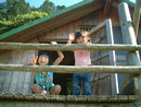 b0054237_905395.jpg