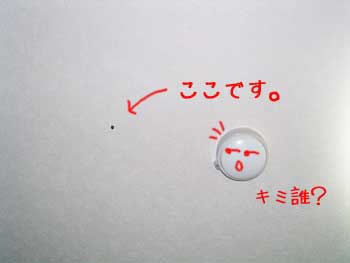 c0019050_2394077.jpg