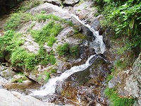 d0048350_1950963.jpg